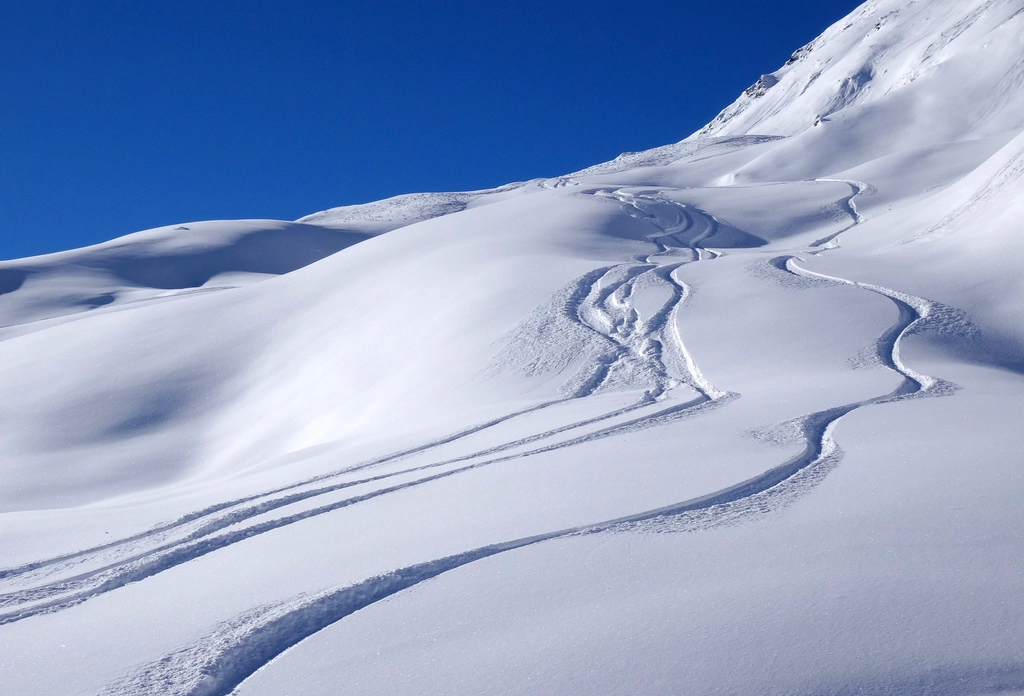 Ski trips